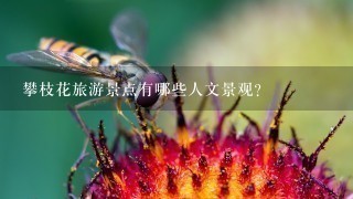 攀枝花旅游景点有哪些人文景观?