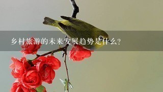 乡村旅游的未来发展趋势是什么?