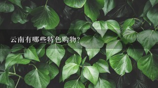 云南有哪些特色购物?