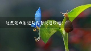 这些景点附近是否有交通设施?