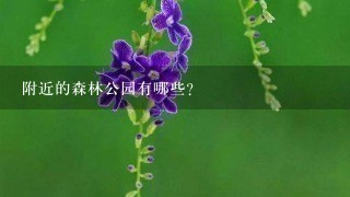 附近的森林公园有哪些?