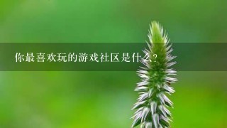 你最喜欢玩的游戏社区是什么?