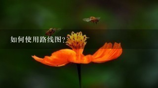 如何使用路线图?