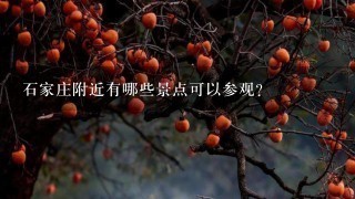 石家庄附近有哪些景点可以参观?