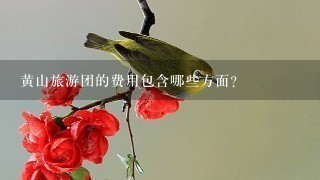 黄山旅游团的费用包含哪些方面?