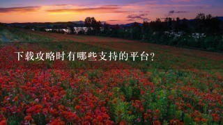 下载攻略时有哪些支持的平台?