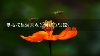 攀枝花旅游景点如何获取资源?