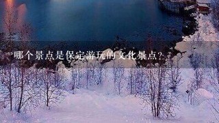 哪个景点是保定游玩的文化景点?