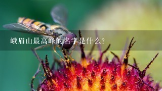 峨眉山最高峰的名字是什么?