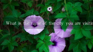 What is the name of the city you are visiting?