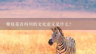 攀枝花在四川的文化意义是什么?