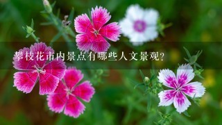 攀枝花市内景点有哪些人文景观?