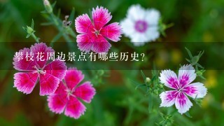 攀枝花周边景点有哪些历史?