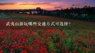 武夷山游玩哪些交通方式可选择?