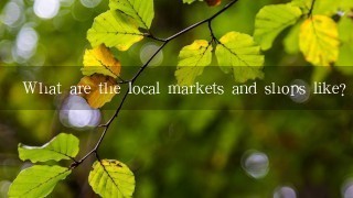 What are the local markets and shops like?