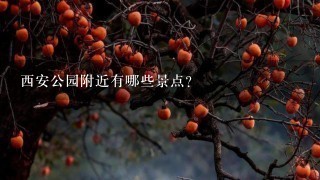 西安公园附近有哪些景点?