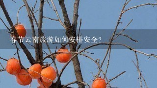 春节云南旅游如何安排安全?