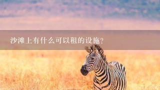 沙滩上有什么可以租的设施?