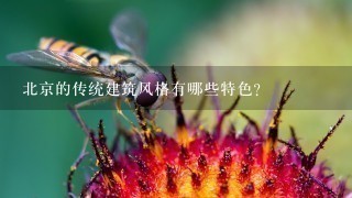 北京的传统建筑风格有哪些特色?