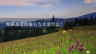 你最喜爱的旅行方式是什么?