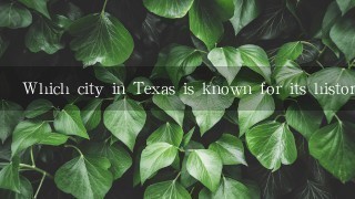 Which city in Texas is known for its historic architecture and cultural attractions?